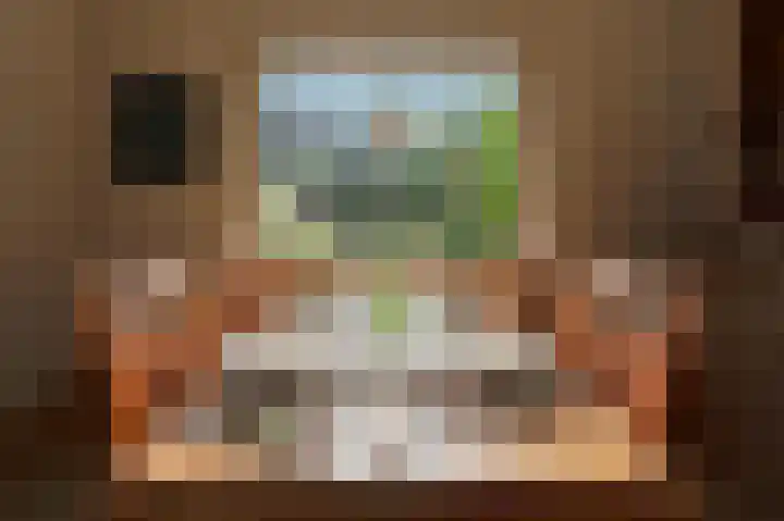 Burgemeester von Geusauweg 2 Geldermalsen thumbnail 9