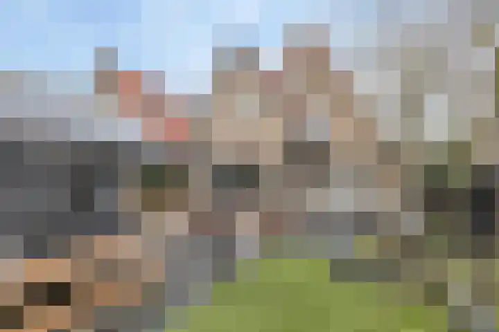 Burgemeester von Geusauweg 9 Geldermalsen thumbnail 34