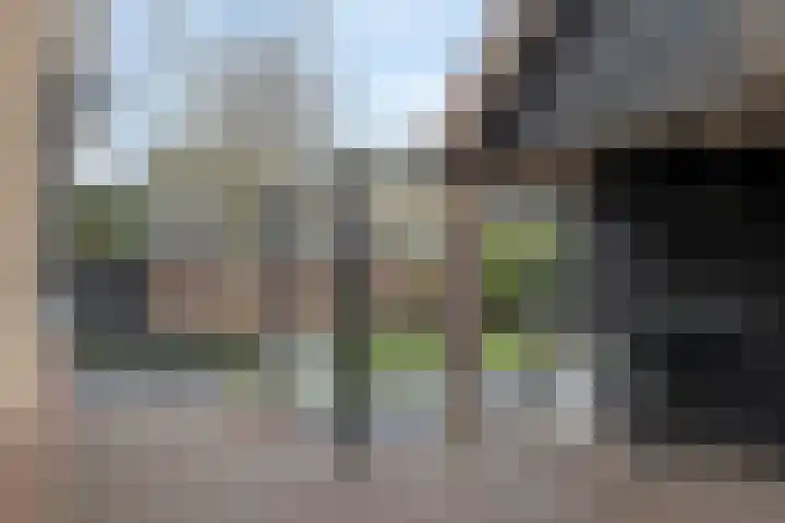 Burgemeester von Geusauweg 9 Geldermalsen thumbnail 37
