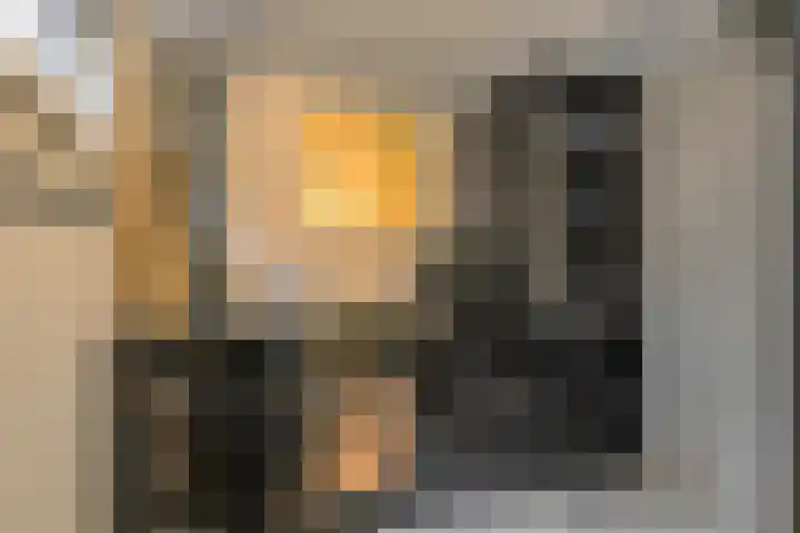 Burgemeester von Geusauweg 9 Geldermalsen thumbnail 6