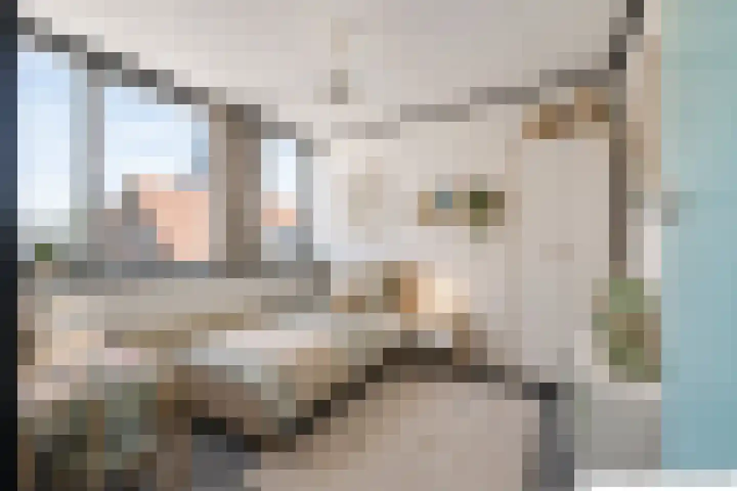 Burgemeester Vonklaan 12 Spijk thumbnail 30