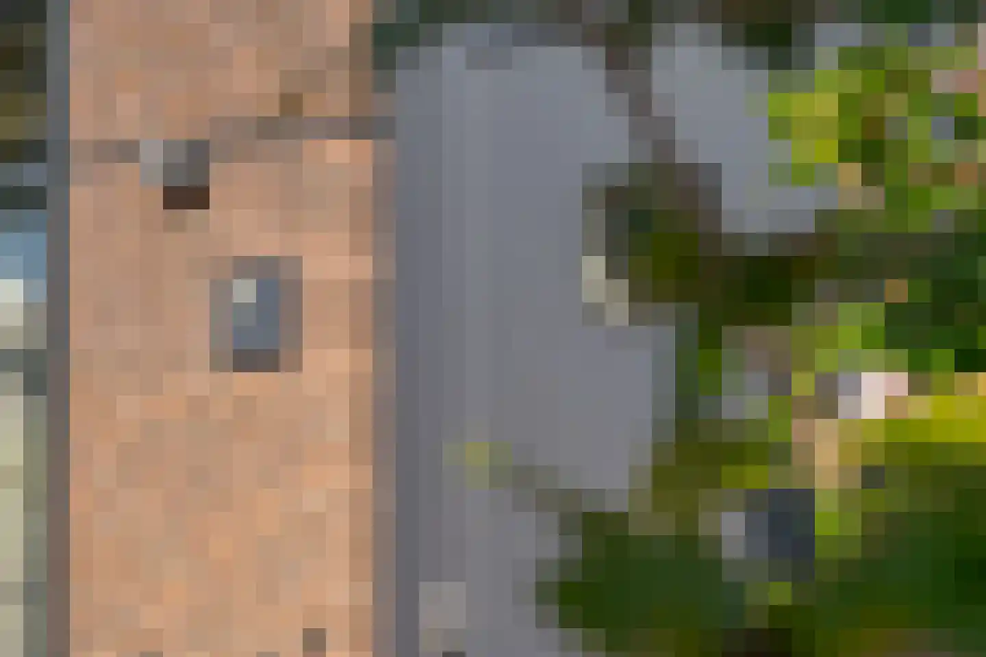 Burgemeester Vos de Waelstraat 38 Zwolle thumbnail 11