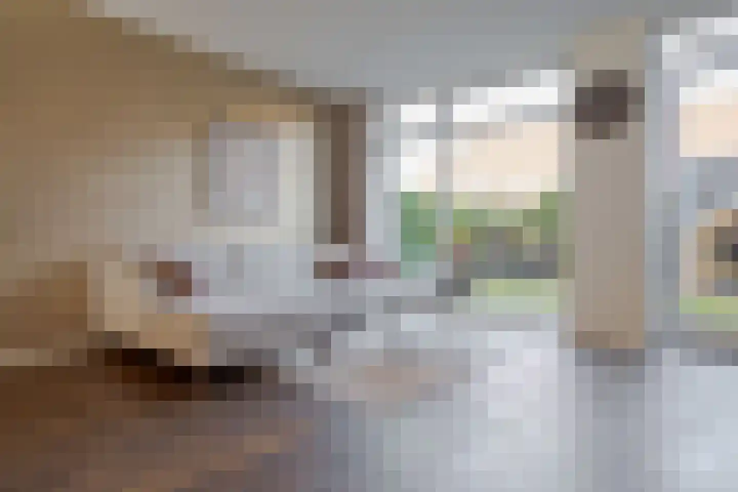 Burgemeester Vos de Waelstraat 38 Zwolle thumbnail 16