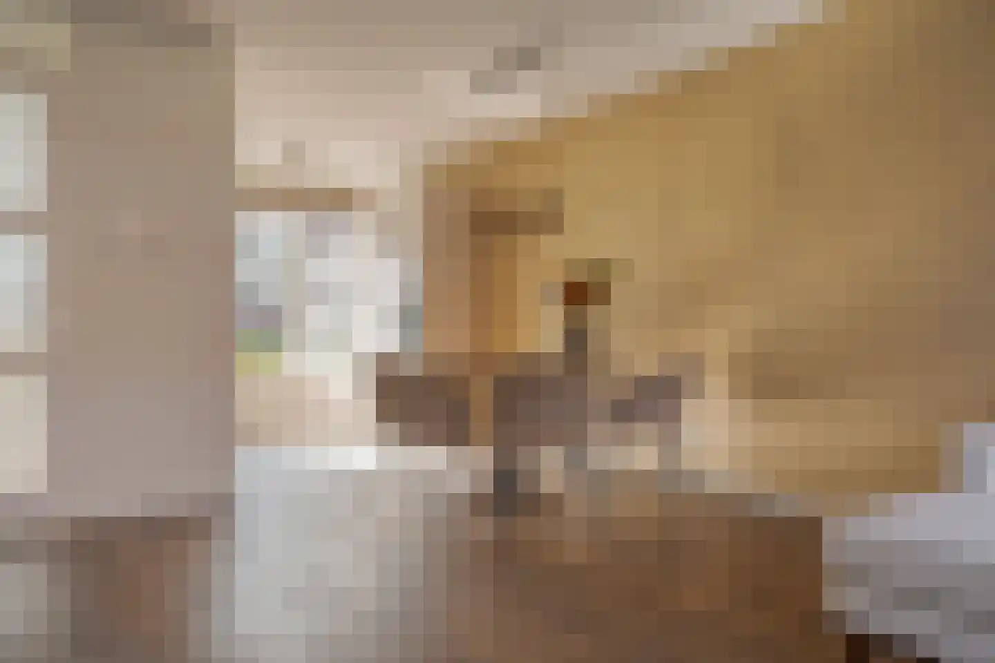 Burgemeester Vos de Waelstraat 38 Zwolle thumbnail 21