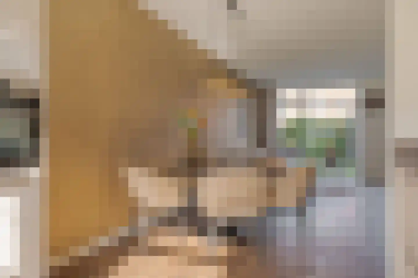 Burgemeester Vos de Waelstraat 38 Zwolle thumbnail 22