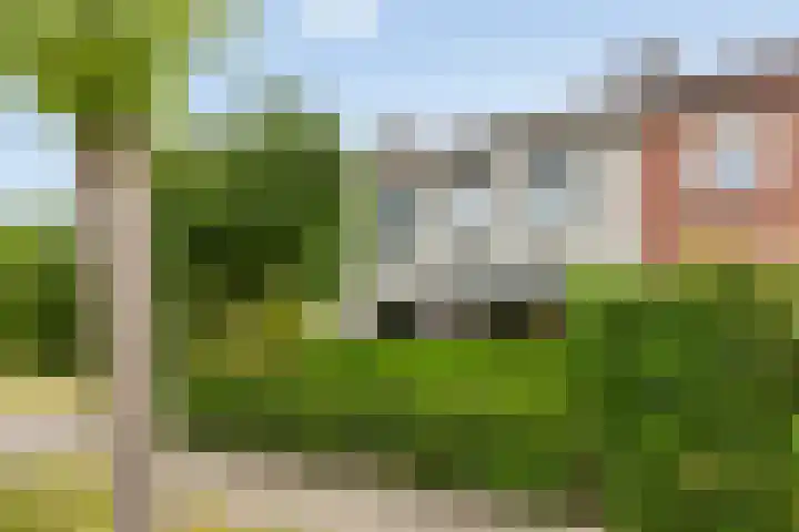 Burgemeester Voskensstraat 2 Goirle thumbnail 10