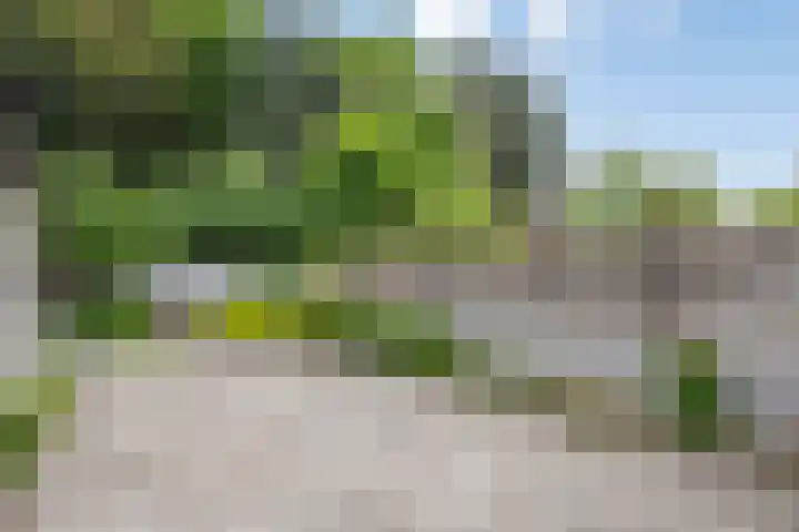 Burgemeester Voskensstraat 2 Goirle thumbnail 6