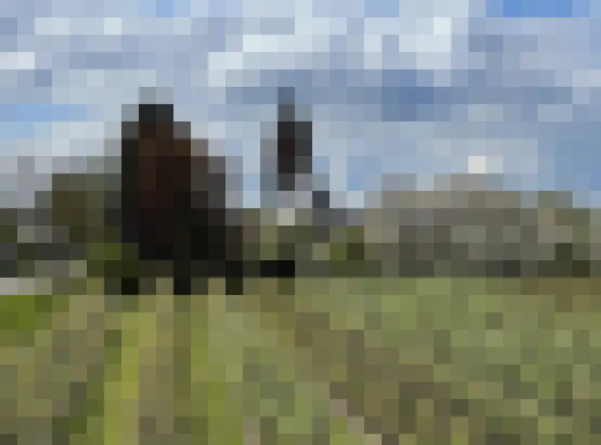 Burgemeester Voslaan 15 Lienden thumbnail 10