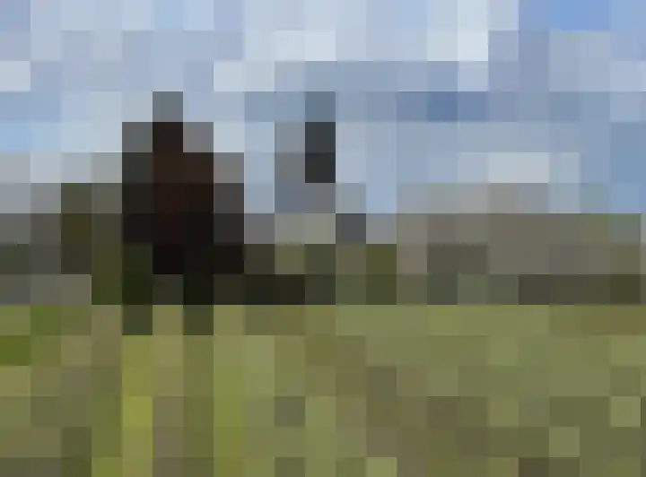 Burgemeester Voslaan 17 Lienden thumbnail 10