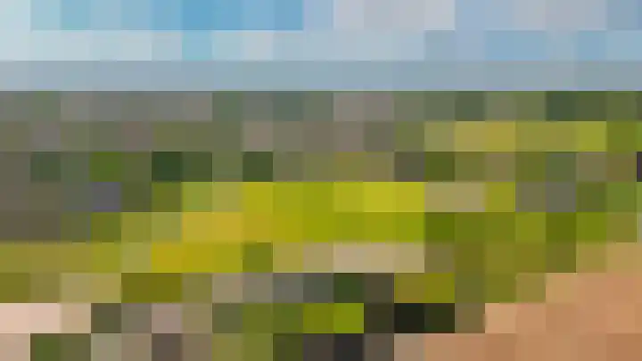 Burgemeester Voslaan 17 Lienden thumbnail 13