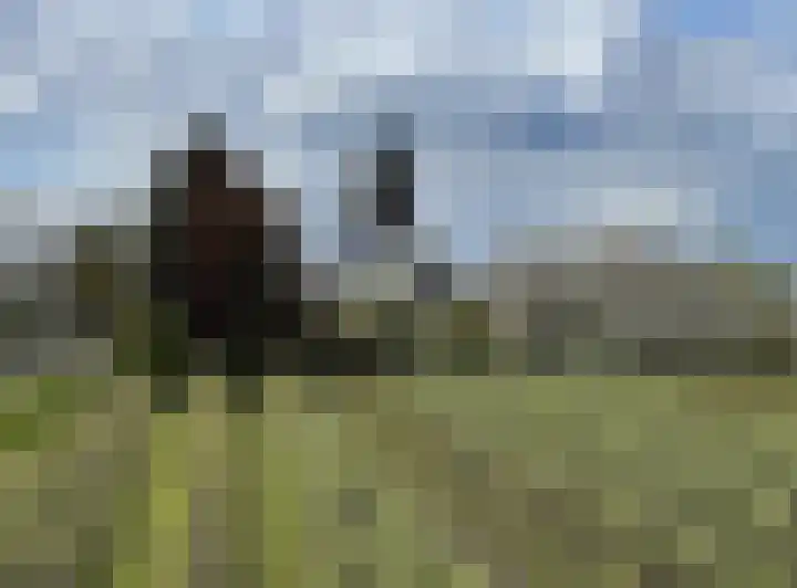 Burgemeester Voslaan 21 Lienden thumbnail 10