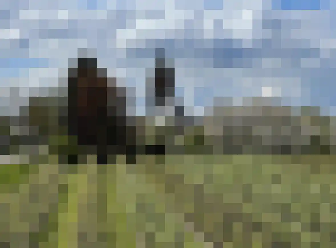 Burgemeester Voslaan 22 Lienden thumbnail 10