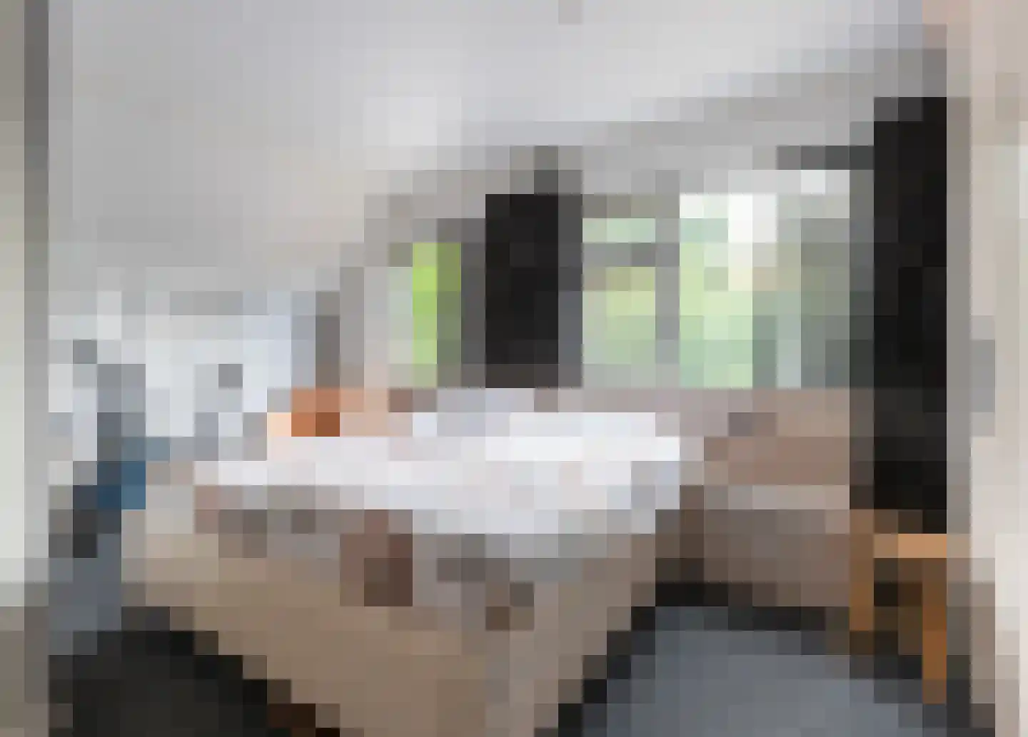 Burgemeester Vostersstraat 61 Oude Wetering thumbnail 18