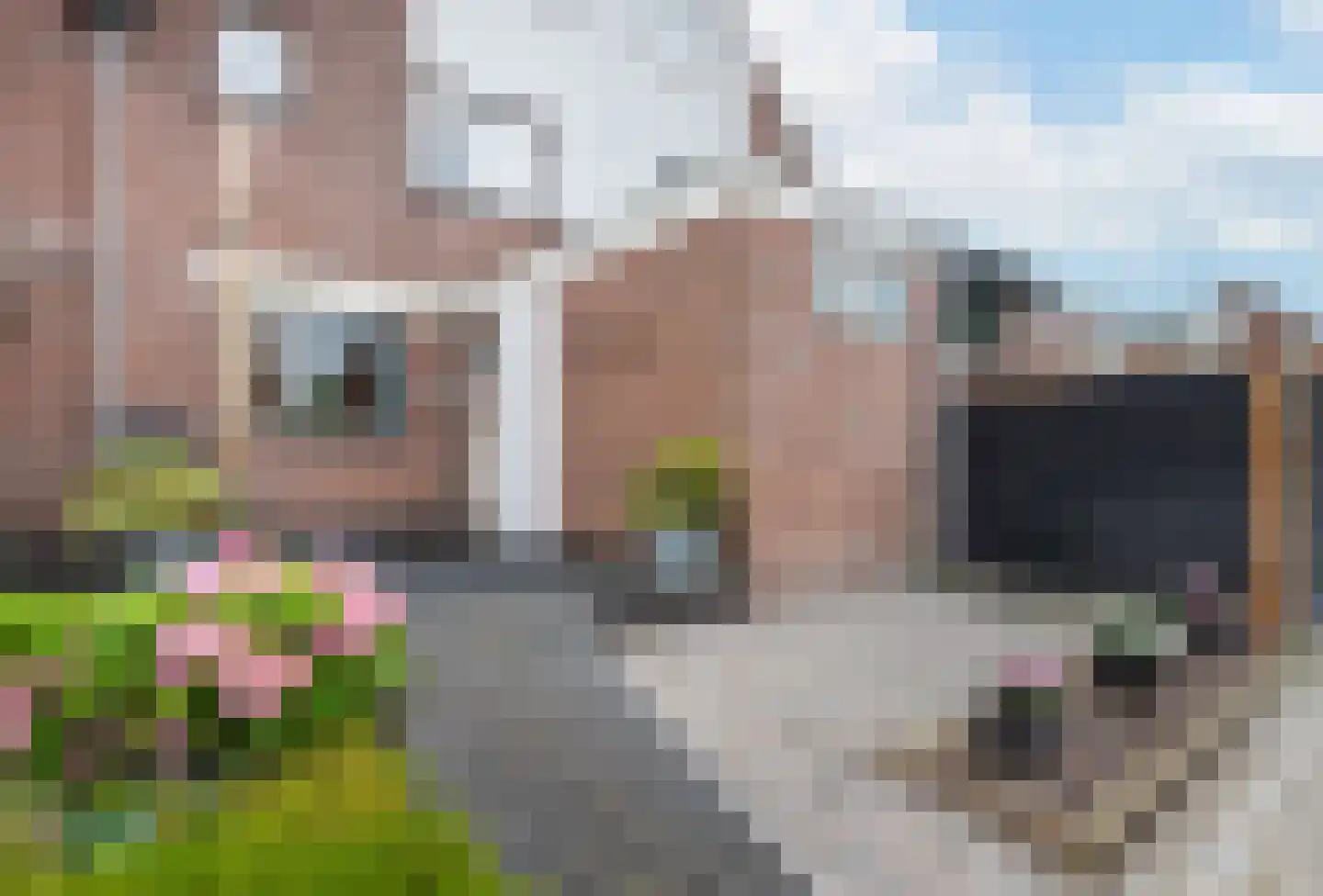 Burgemeester Vostersstraat 61 Oude Wetering foto 2