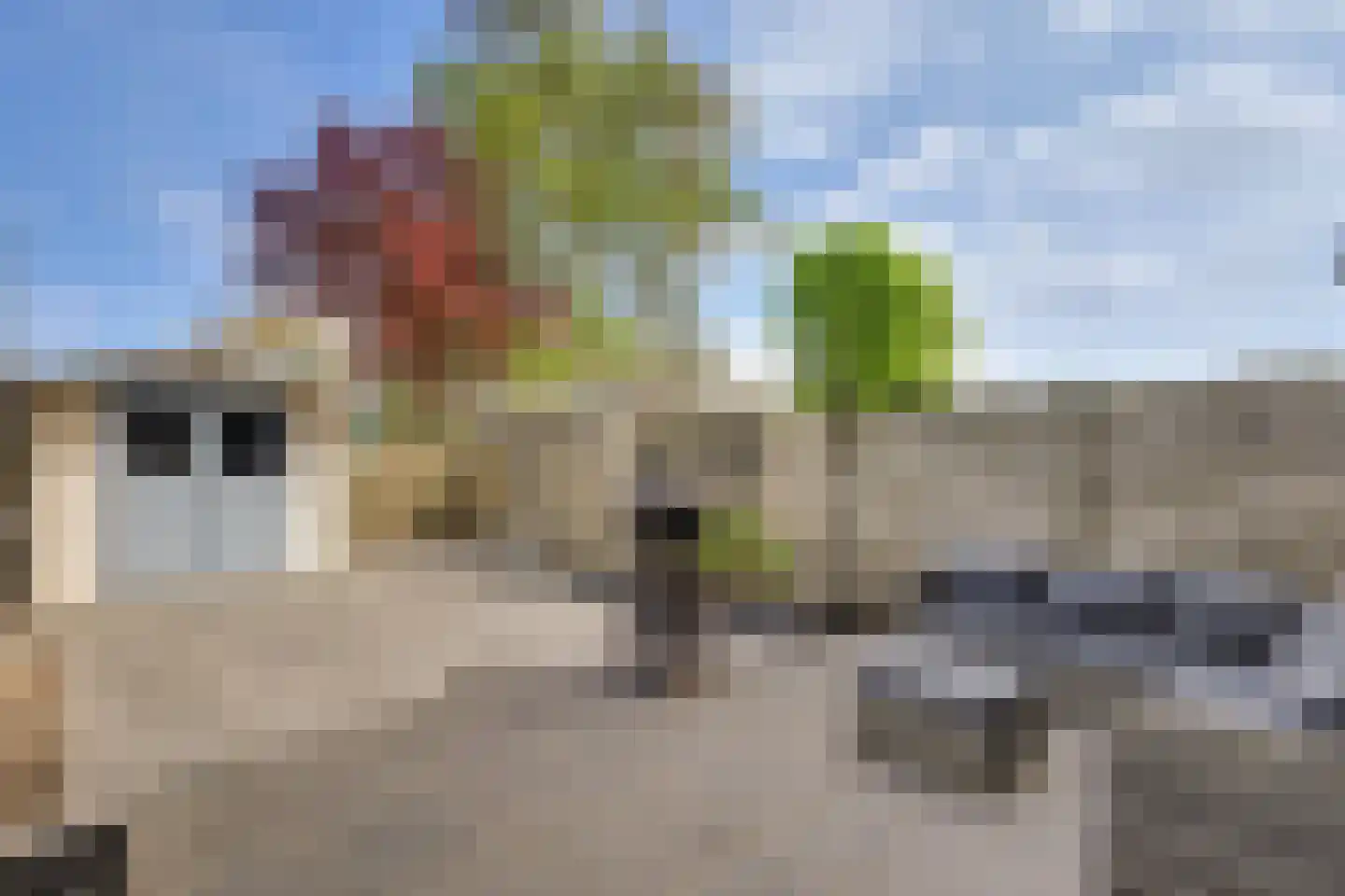 Burgemeester Vrieslaan 11 Goudswaard thumbnail 32