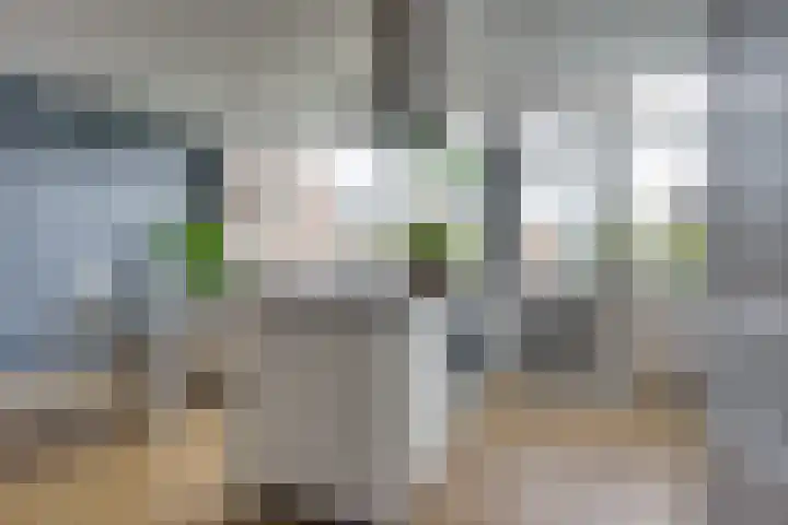 Burgemeester W Martenslaan 8 Amerongen thumbnail 7