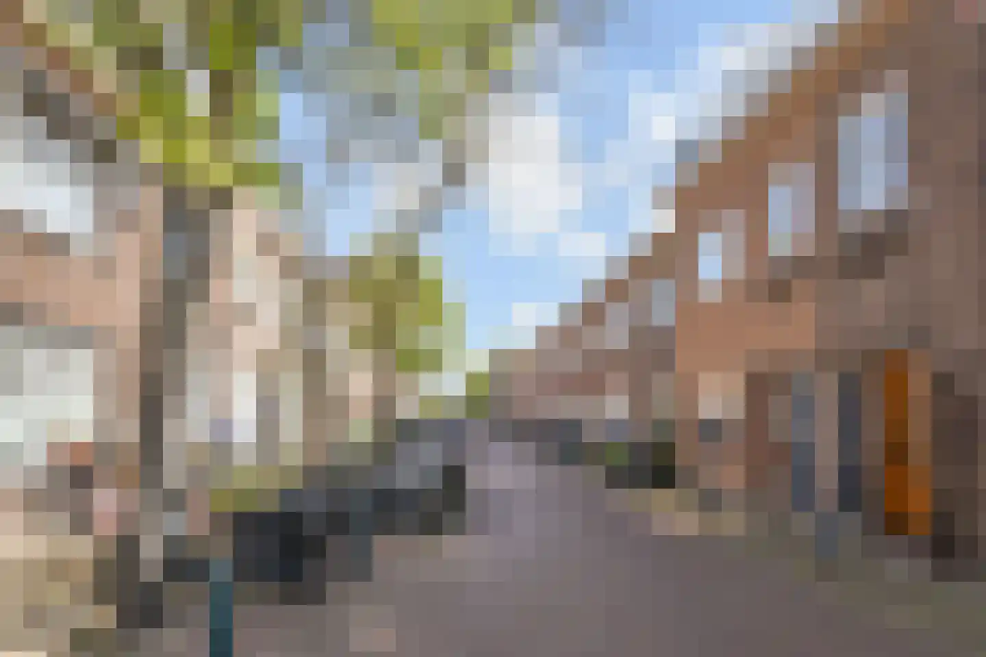 Burgemeester Waldeckstraat 14 Den Haag thumbnail 6