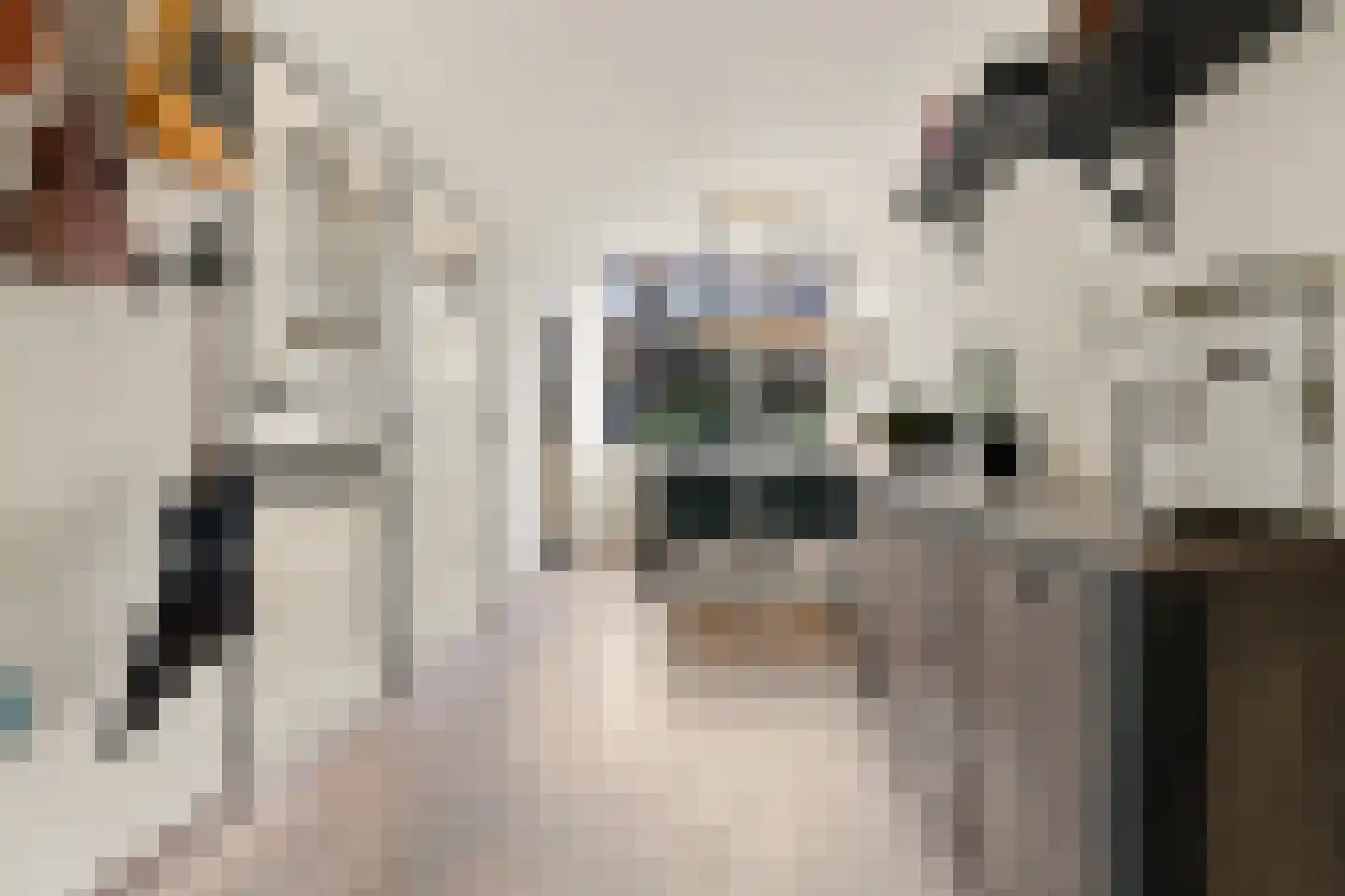 Burgemeester Waliglaan 31 Krommenie thumbnail 8