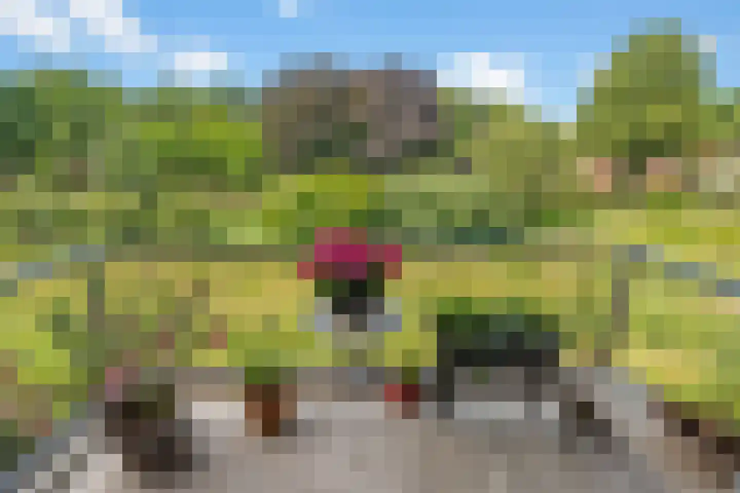 Burgemeester Wallerweg 39 Houten thumbnail 19