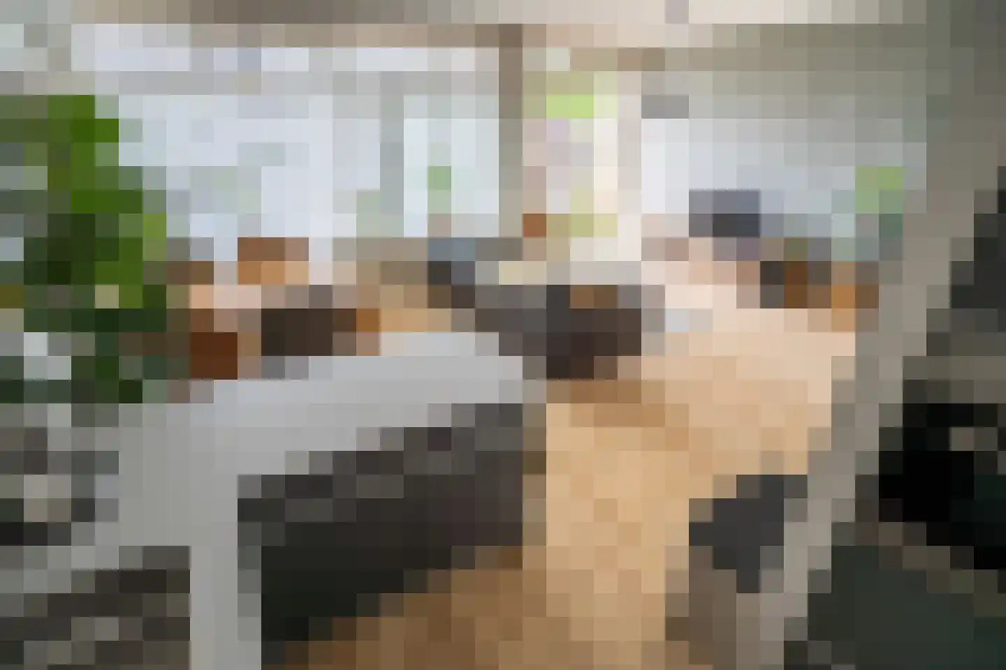 Burgemeester Wapstraat 68 Zoeterwoude thumbnail 9
