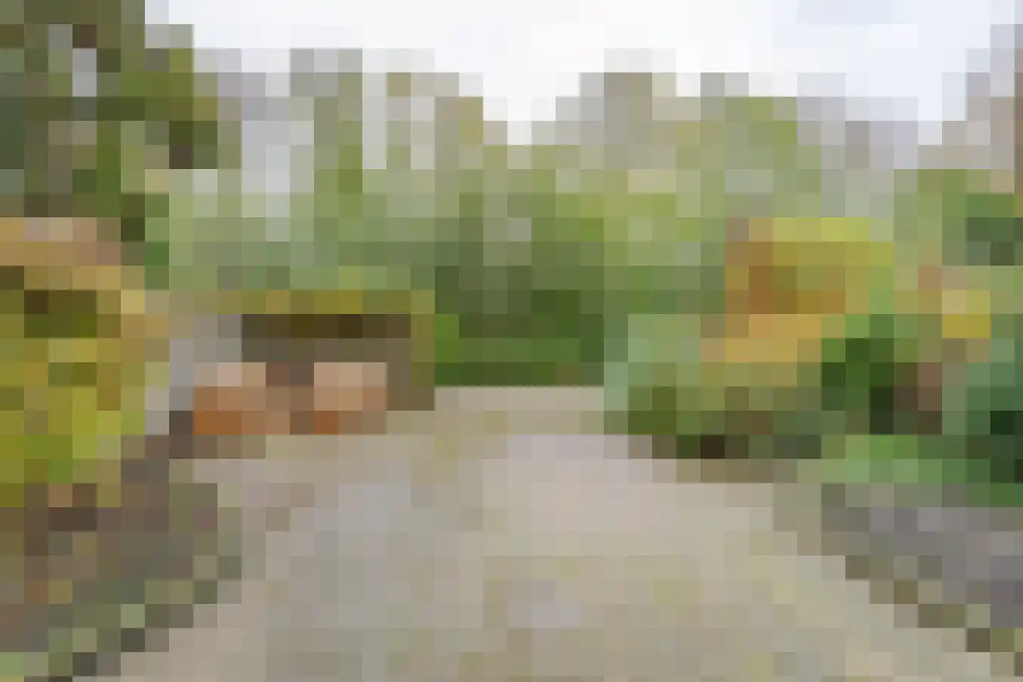 Burgemeester Warnaarkade 40 Hazerswoude-Dorp thumbnail 29