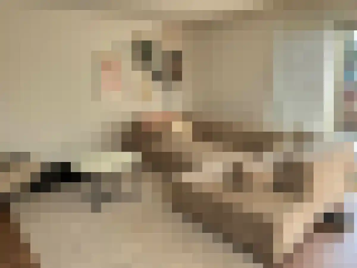 Burgemeester Weertsplantsoen Santpoort-Noord