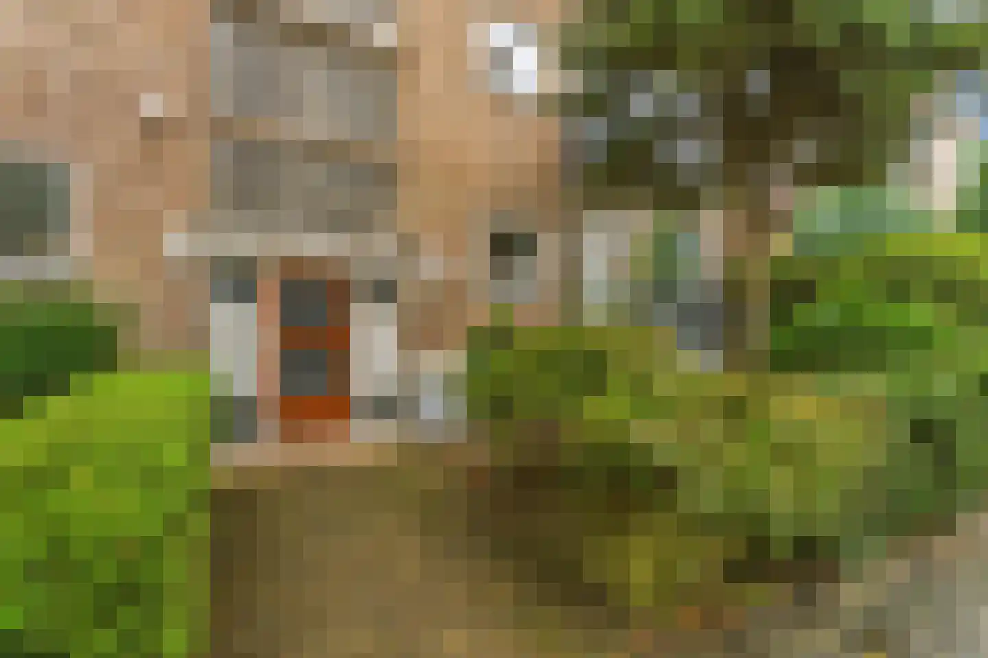 Burgemeester Weertsstraat 5 1 Arnhem thumbnail 5