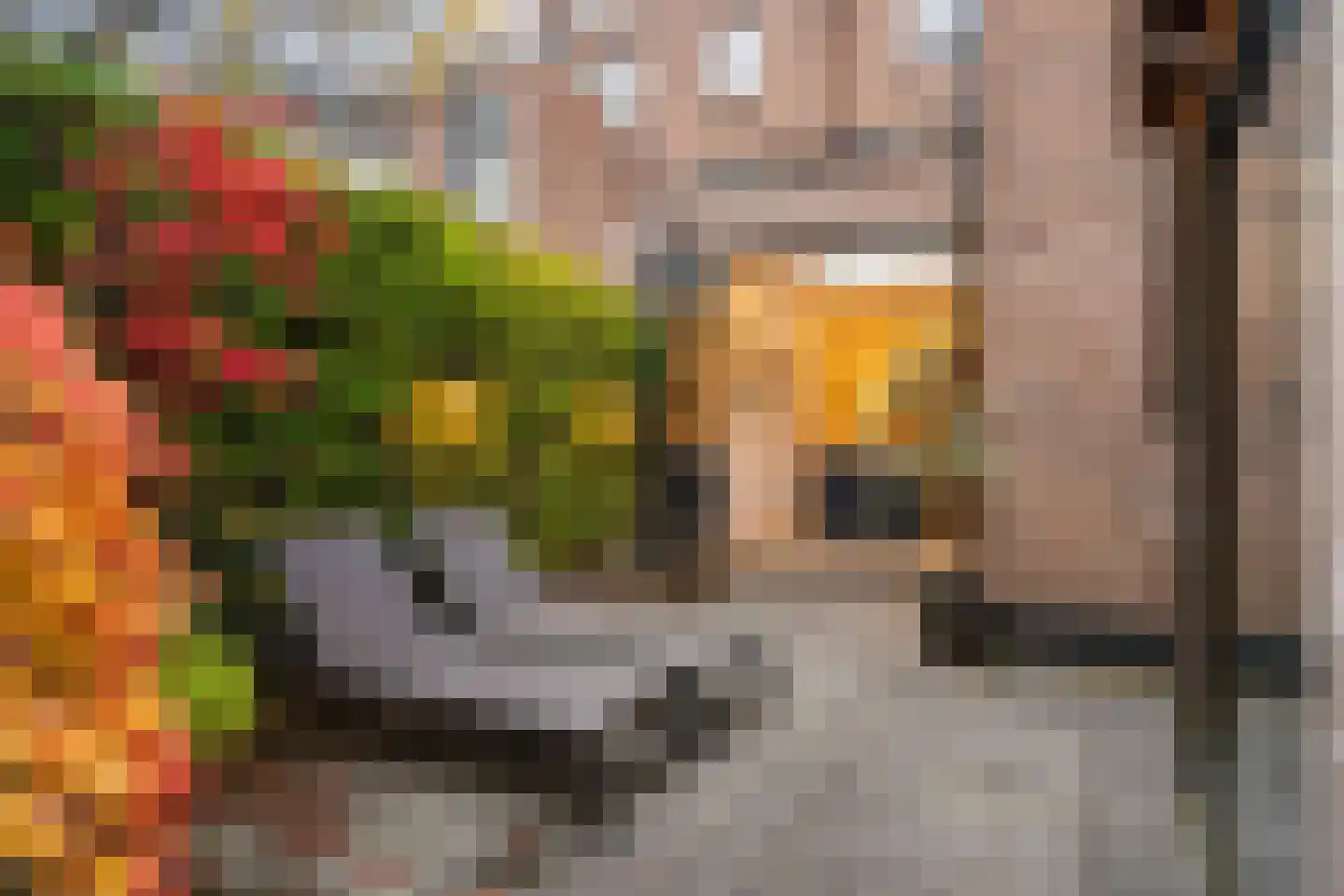 Burgemeester Weertsstraat 63 Arnhem thumbnail 17