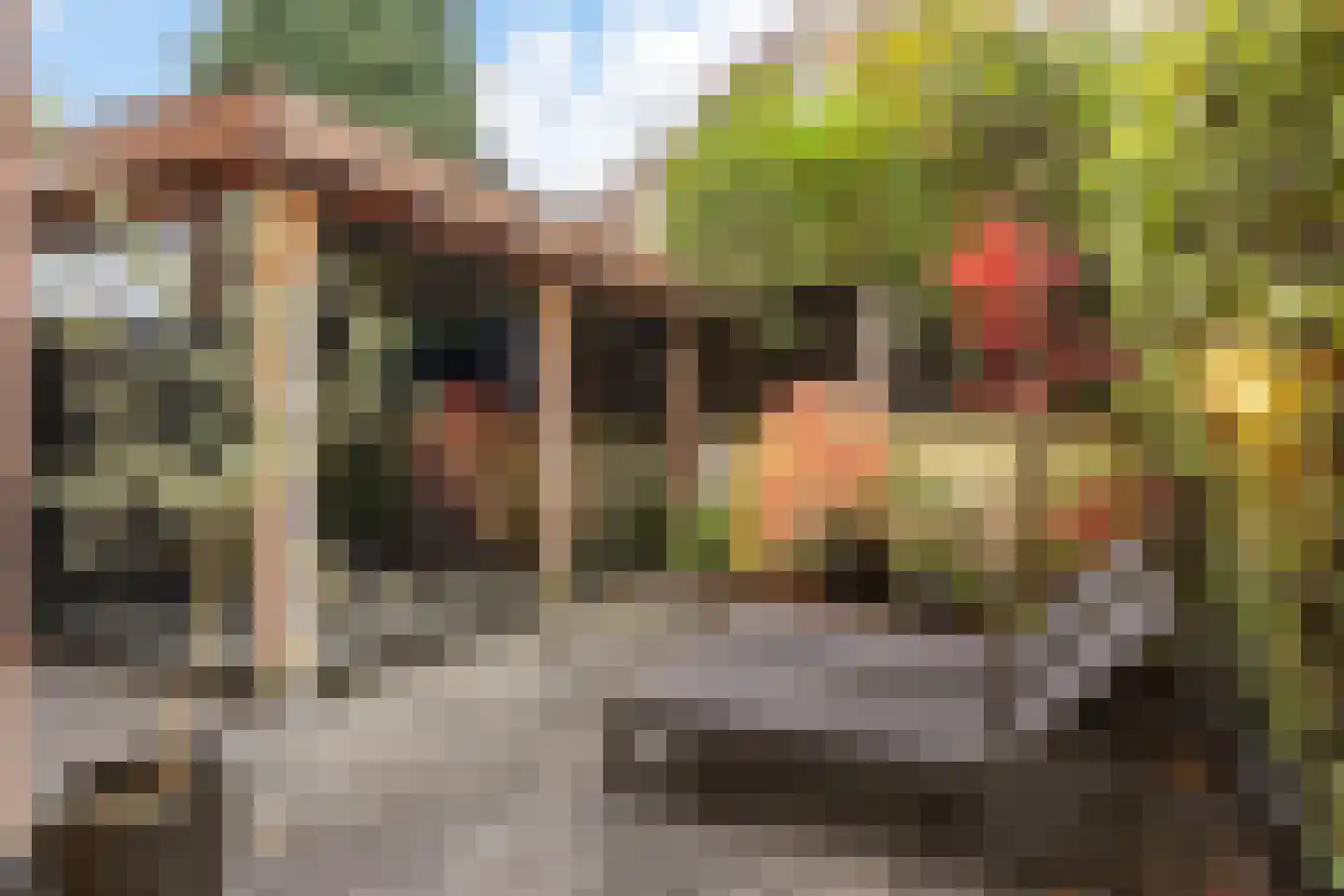 Burgemeester Weertsstraat 63 Arnhem thumbnail 18