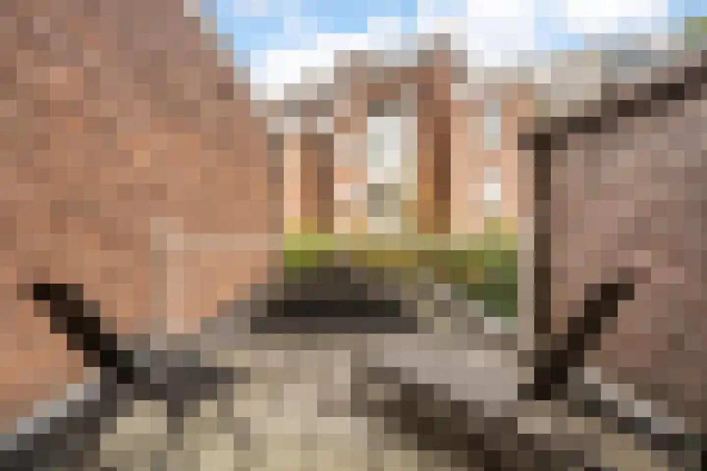 Burgemeester Weertsstraat 63 Arnhem thumbnail 26