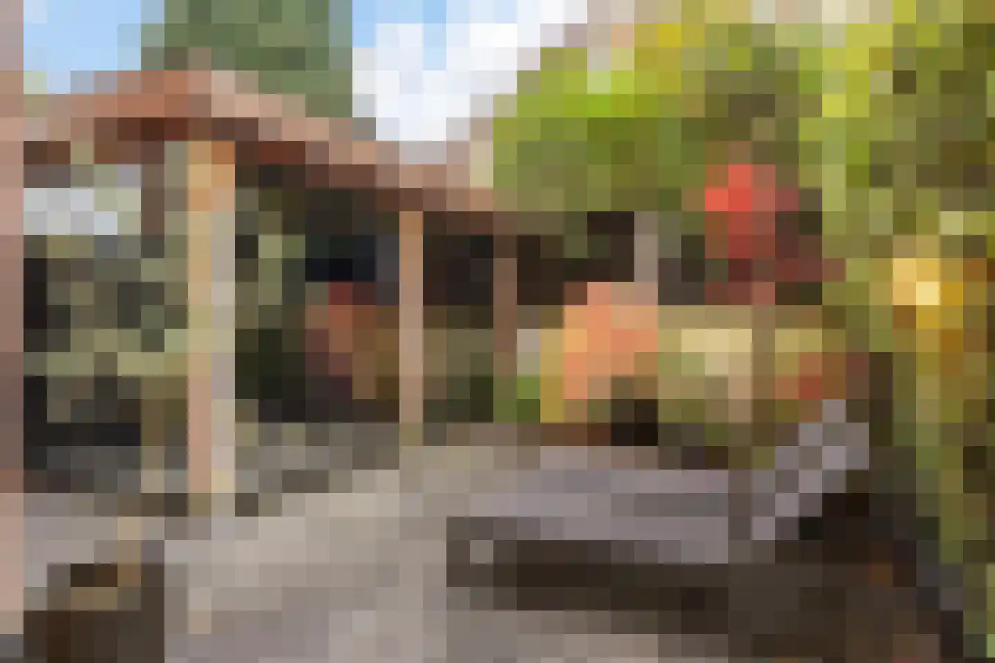 Burgemeester Weertsstraat 63 Arnhem thumbnail 45