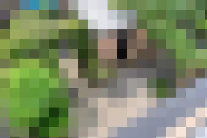Burgemeester Wentholtstraat 3 Hillegom thumbnail 4