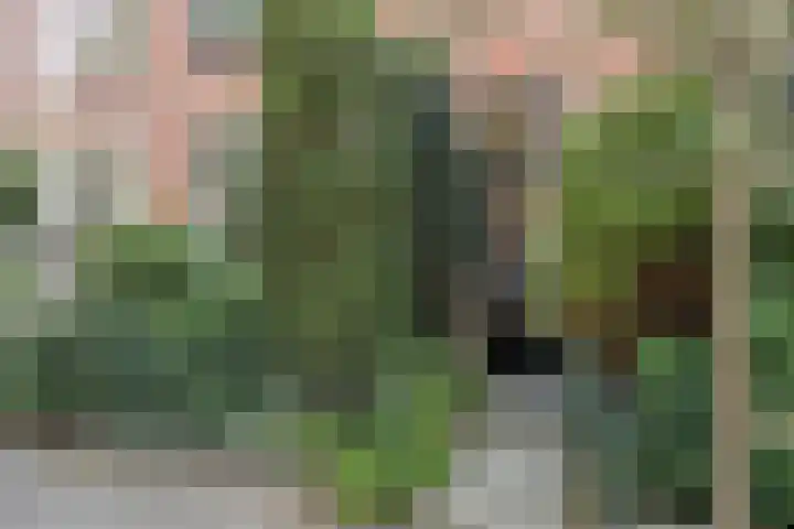 Burgemeester Wentholtstraat 3 Hillegom thumbnail 6