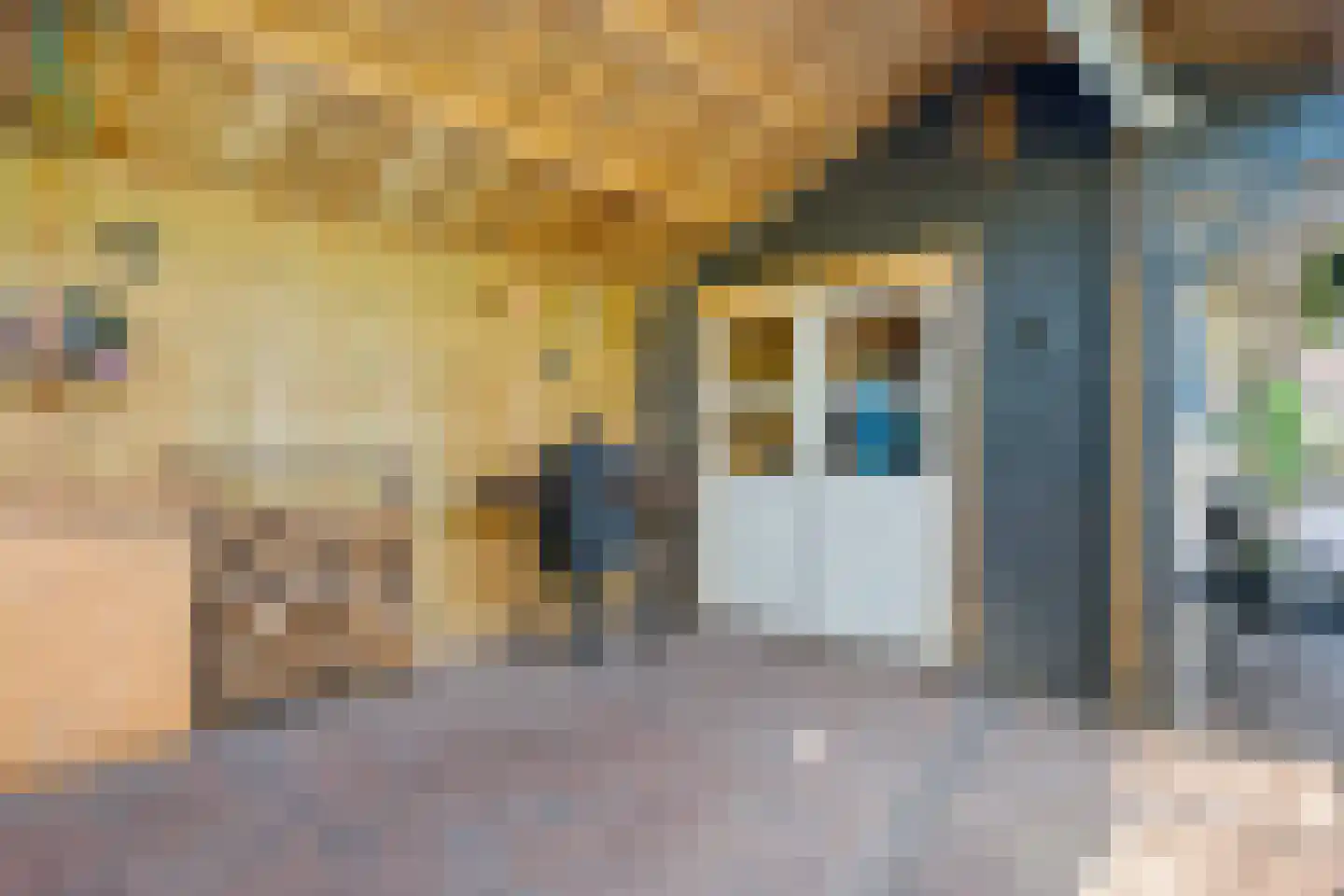 Burgemeester Westerhuisstraat 4 Franeker thumbnail 43