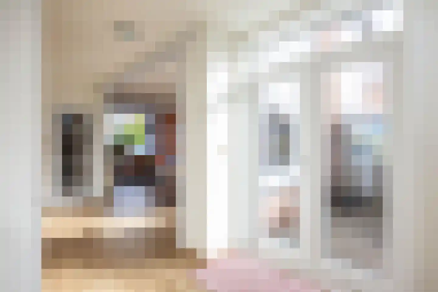 Burgemeester Westerhuisstraat 7 Franeker thumbnail 20