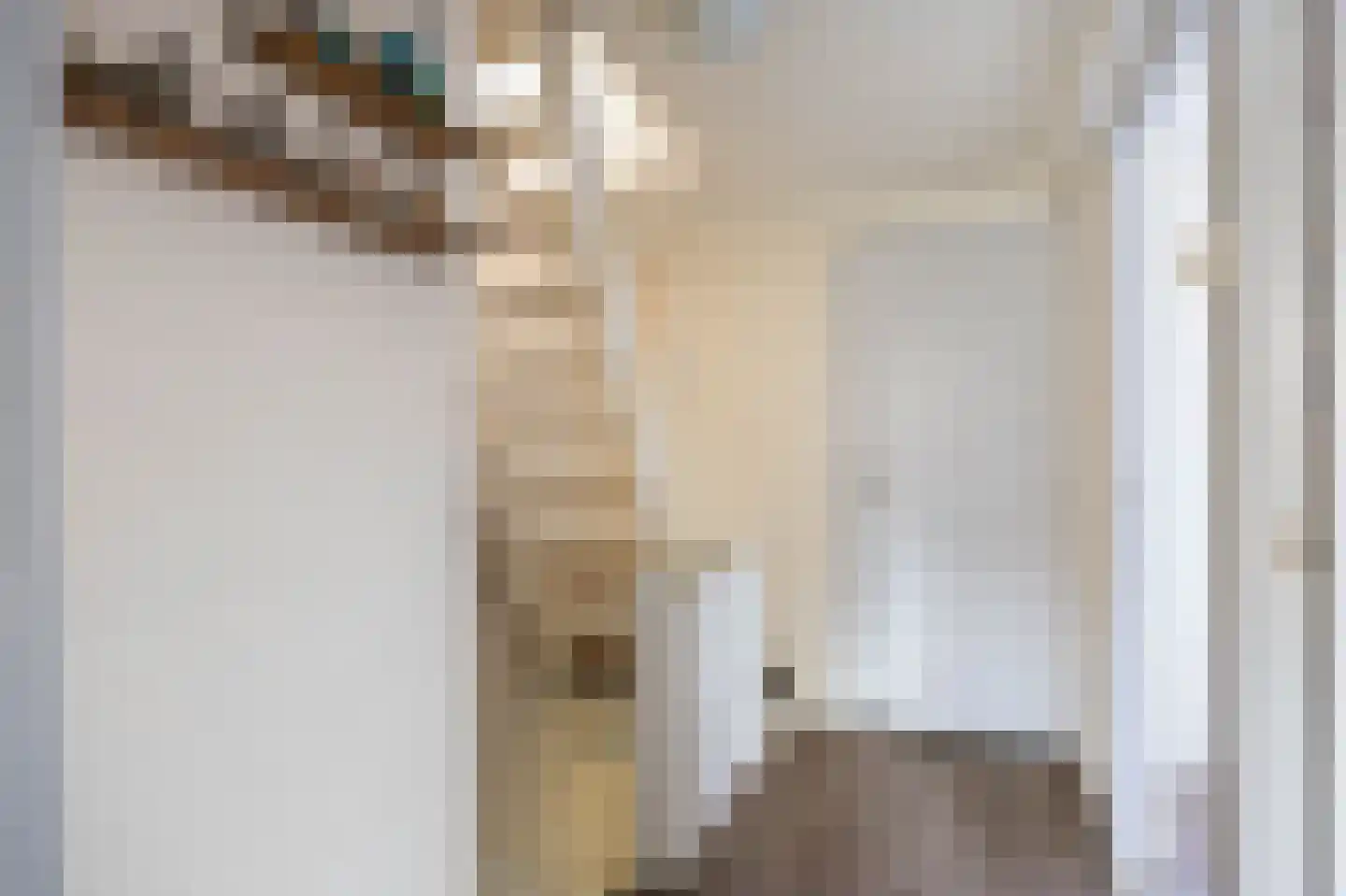 Burgemeester Westerhuisstraat 7 Franeker thumbnail 35