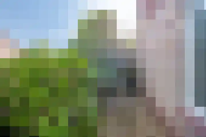 Burgemeester Wientjensstraat 22 Reek thumbnail 33