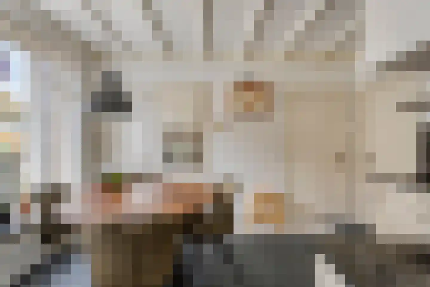 Burgemeester Wientjensstraat 4 Reek thumbnail 12
