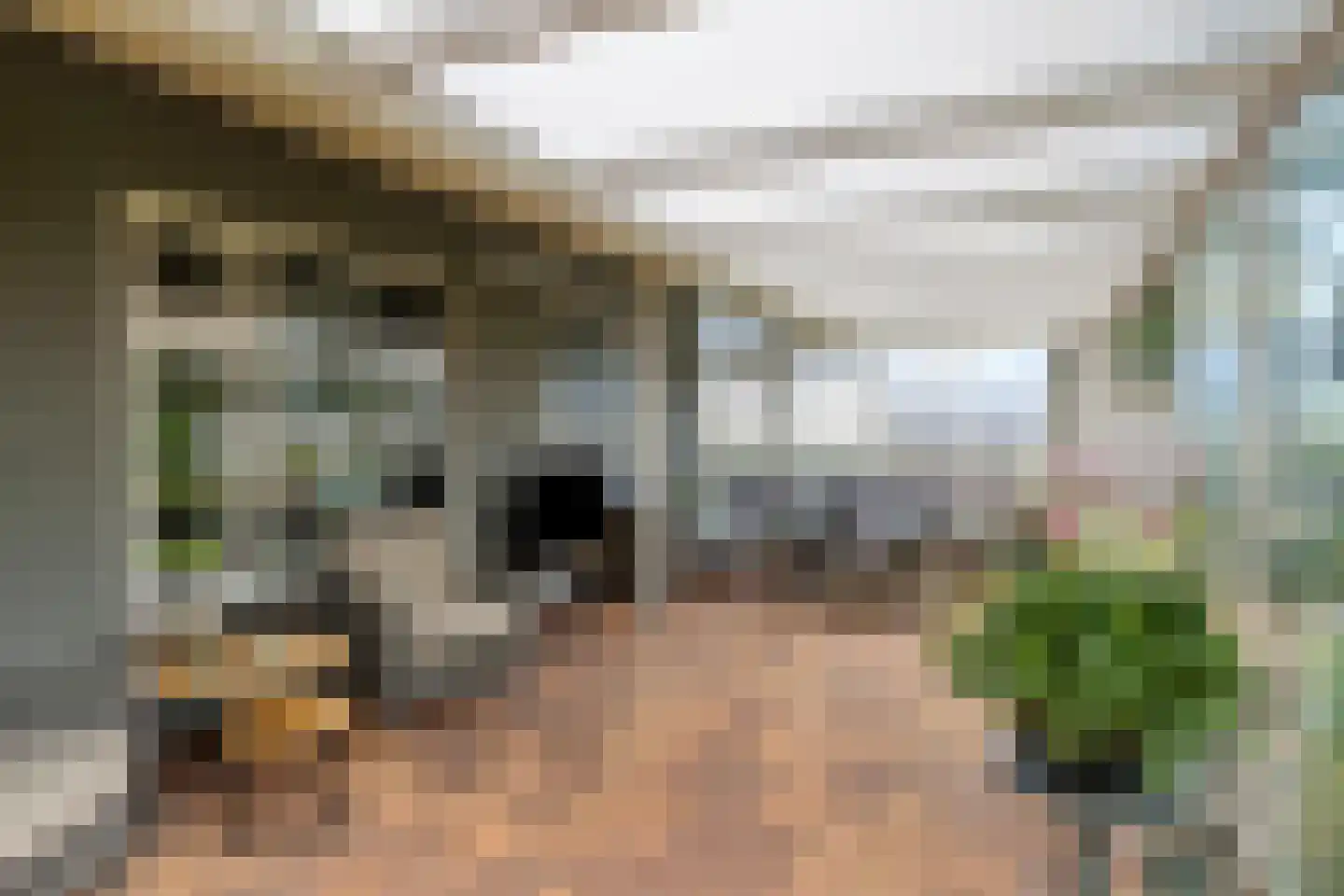 Burgemeester Wientjensstraat 4 Reek thumbnail 24