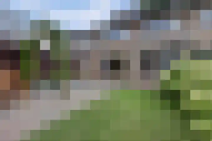 Burgemeester Wientjensstraat 43 Reek thumbnail 36