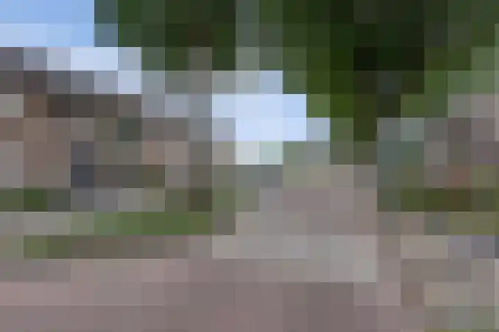 Burgemeester Wientjensstraat 43 Reek thumbnail 44