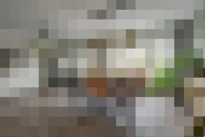 Burgemeester Wientjensstraat 43 Reek thumbnail 6
