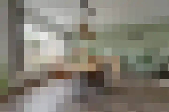 Burgemeester Wientjensstraat 43 Reek thumbnail 7