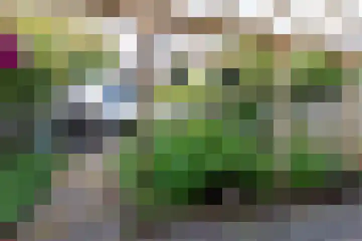 Burgemeester Wijnaendtslaan 13 Rotterdam thumbnail 5