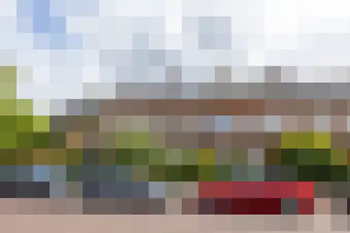 Burgemeester Wijnaendtslaan 13 Rotterdam thumbnail 6