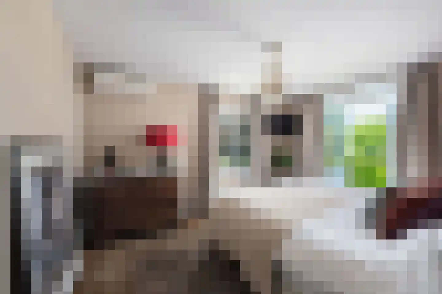 Burgemeester Wijnaendtslaan 2 Rotterdam thumbnail 39