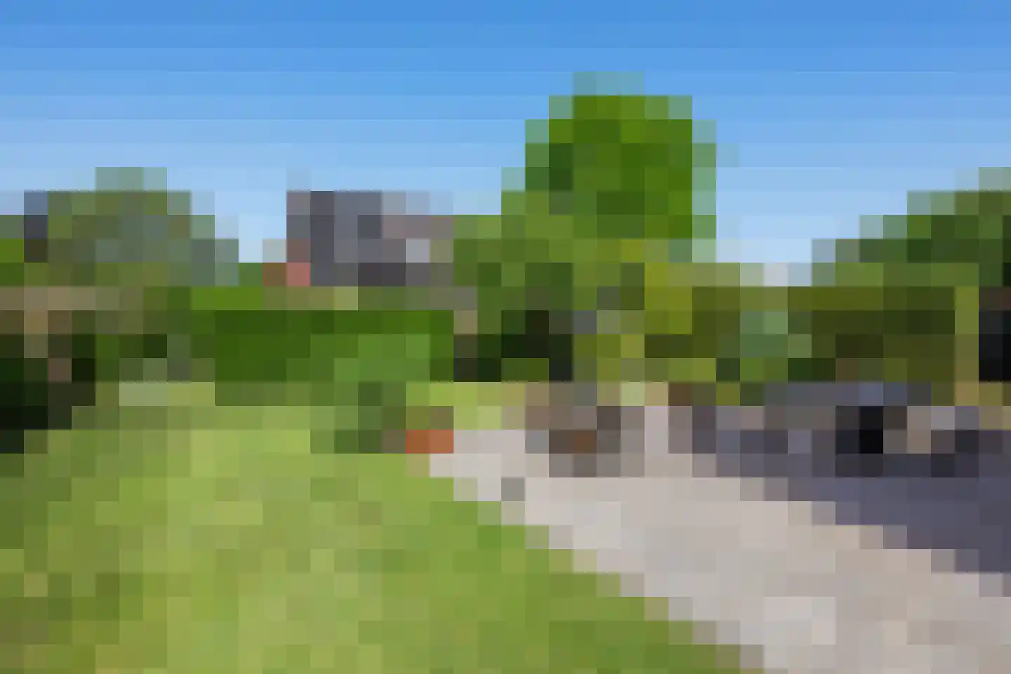 Burgemeester Wijnaendtslaan 2 Rotterdam thumbnail 58