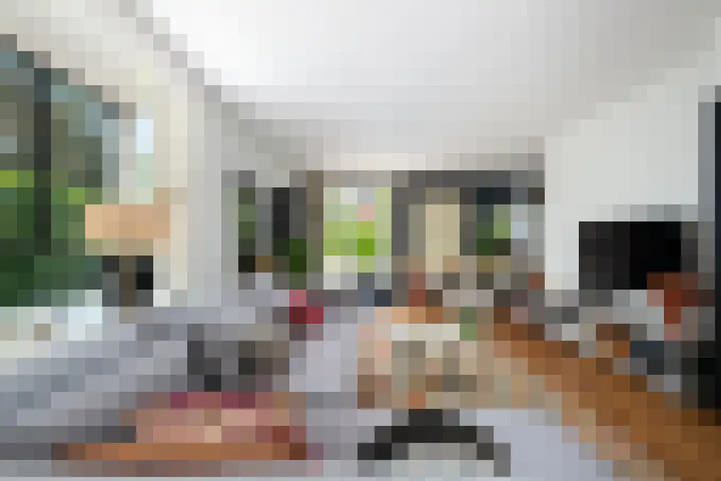 Burgemeester Wijnaendtslaan 2 Rotterdam thumbnail 8