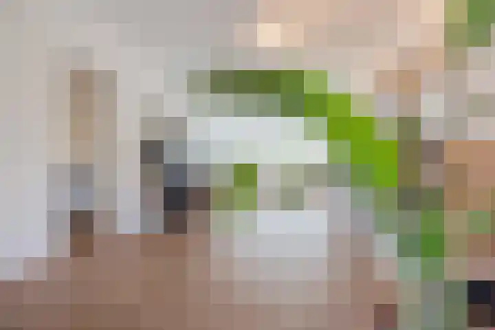 Burgemeester Wijnaendtslaan 4 Rotterdam thumbnail 11