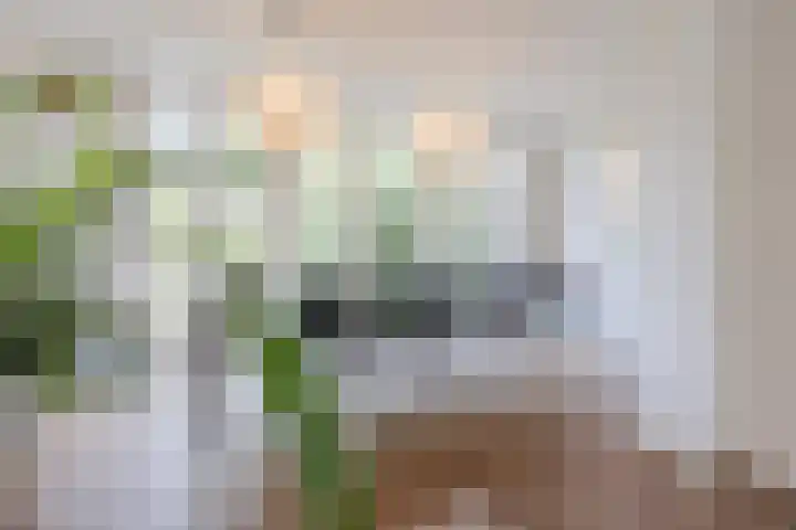 Burgemeester Wijnaendtslaan 4 Rotterdam thumbnail 12